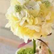 じゃっこりんの画像