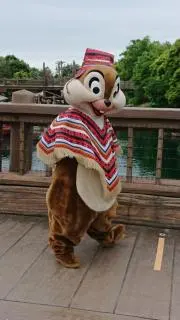 yuccoloの画像