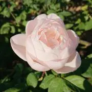あむ(°_°) プロフ必読してね(..)