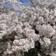 まるまるの画像