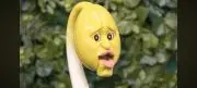 ラクダの画像