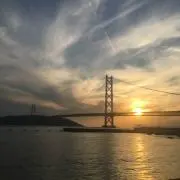コンチェルトの画像