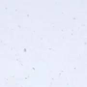 NBAの画像
