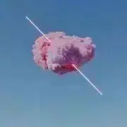 るるの画像