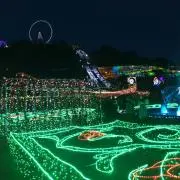 はるきゃんの画像