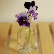 ゆりあん