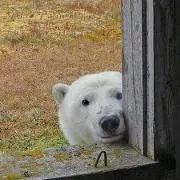 おーち