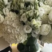 KОRON♡の画像