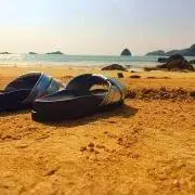 えのきちゃんの画像