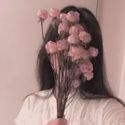 mocaの画像