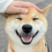 evaの画像