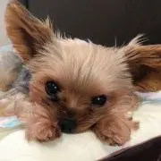 Yusukeyの画像