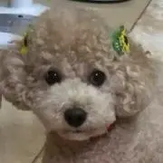 maromama