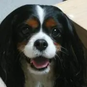 Ｍ＆Ｃハッピーの画像