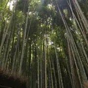 jxd0831の画像