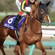 リンリン