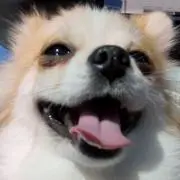 ★ギネス★