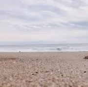 アザールの画像