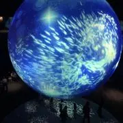おくたんの画像