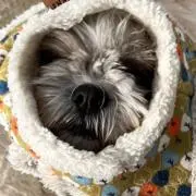 まっちの画像