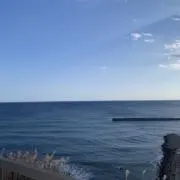 コイキングの画像