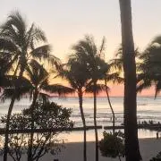 HANALANIの画像