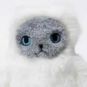 ハルカリの画像