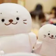 しろの画像