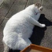 もちもちフォロー大歓迎の画像