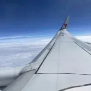 タケザイルの画像