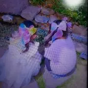 やちゃ
