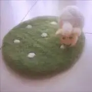 メイメェの画像