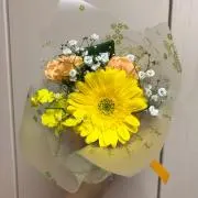 なちょの画像