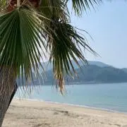 ぽの画像