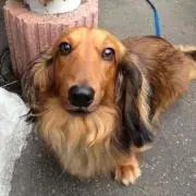 issyi kunの画像