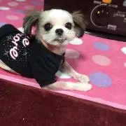 もずもず