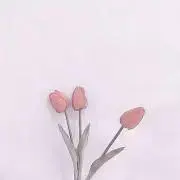 ちぃの画像
