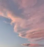 トッポの画像