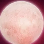Griezmannの画像