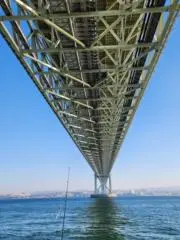pupumaru　土日SALEしますの画像