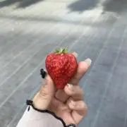 Unaの画像