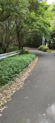 Kskの画像