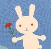 花の画像