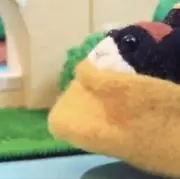 くうの画像
