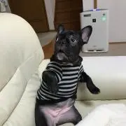 よっちゃん