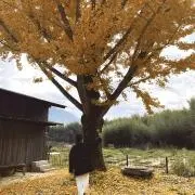 eirinの画像