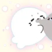 Rの画像