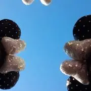 ひの画像