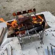 ヒトの画像