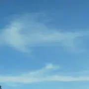 きょちゃ